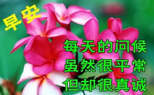  下午好动画表情包大全,老同学早安午安清晨问候朋友的正能量暖心祝福