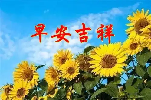 有的路,是用脚去走有的路,要用心去走,早安  有的路,是用脚去走有的路,要用心去走,早安