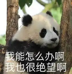 运气倒霉的搞笑图片熊猫