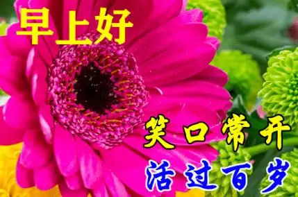 清晨,祝福