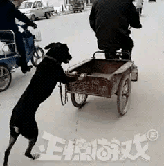 五万俄军三面合围,冰雹弹拉开火力网,乌军启动紧急预案