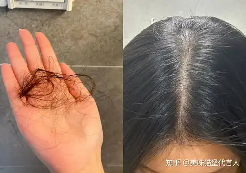  一看就很贵气的女孩子是什么样子的