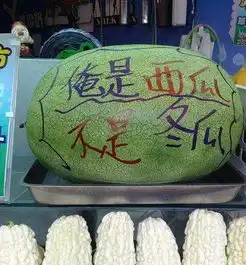 西北风图片搞笑西北风