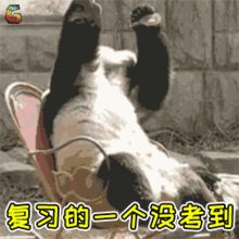  薪火相传期末经验交流分享会