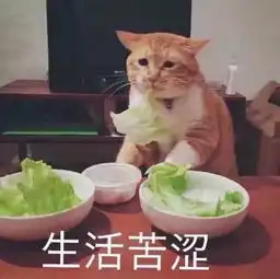  暗示爸妈生活费不够用表情包妈妈你看,爸爸你看