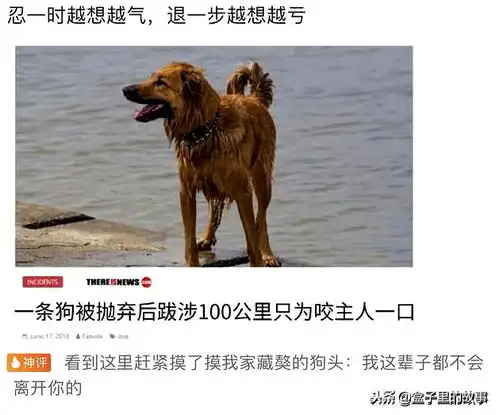 开心一刻,这些搞笑图片专治你的不开心  开心一刻,这些搞笑图片专治你的不开心