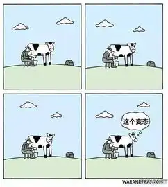  妹子说可以满足三个愿望哟暴走漫画大合集