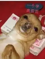  开场及赵永甲致辞三生有享网三生健康产业园启用2周年庆典