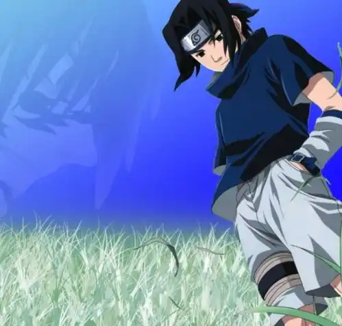 火影忍者搞笑图片佐助头