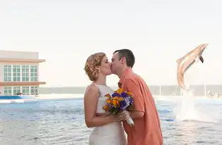  美国夫妇拍结婚照接吻时遭海豚抢镜