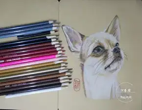  彩铅小动物