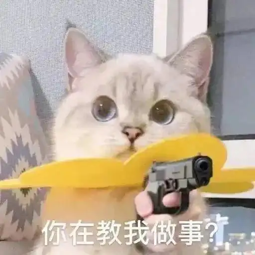  幽默搞笑表情包现在谈恋爱要求真高,还要要求单身