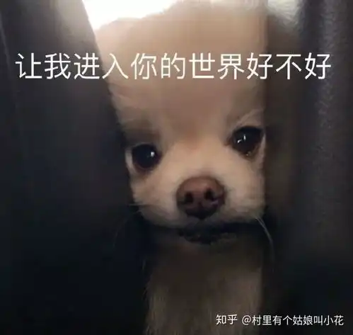 搞笑表情包 沙雕图片头像