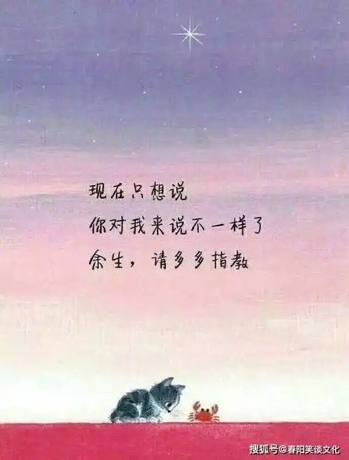  让对方看到心疼惹泪的句子,句句经典悲凉,有故事的人点进来