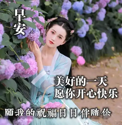  微信打动人心的早上好问候祝福语分享十张美女问候早安的图片合集