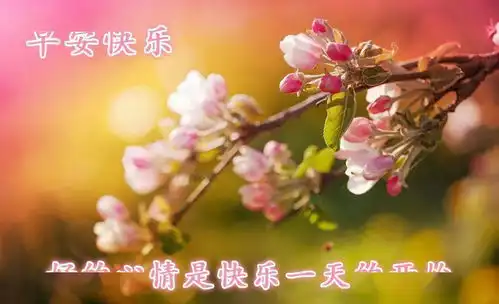  早上好最美鲜花图片带字问候早上好的第一声祝福