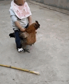  经典笑话你说要十万,现在我存够了