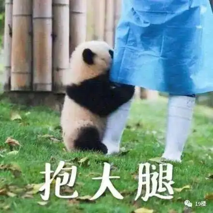  年度恐怖大片之支付宝账单出炉了,有网友晒出569万的图