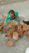  搞笑gif那天我家的猫喝醉了,非要找老鼠拜把子