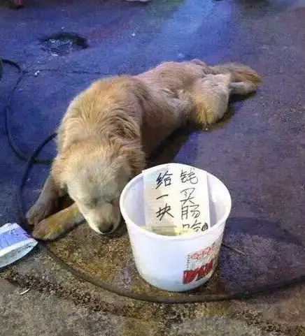 被蚊子叮的搞笑图片图图