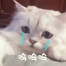  表情包大郎该吃药了