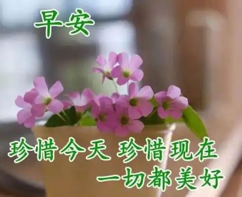  秋天漂亮的早安问候祝福语图片,清晨祝福语暖心句子送给朋友