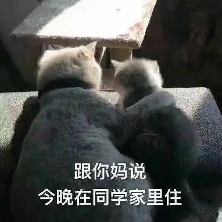 搞笑表情包 沙雕图片表情包