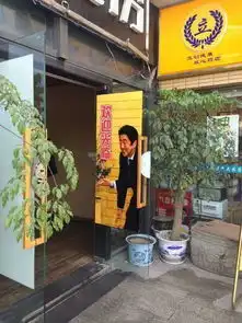  准备进行对人类熊孩子的洗脑流程