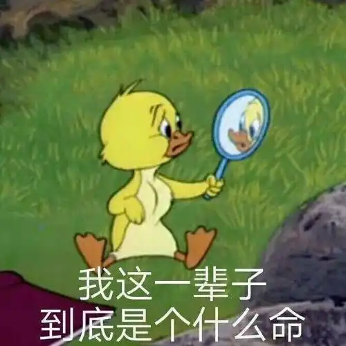  搞笑表情图