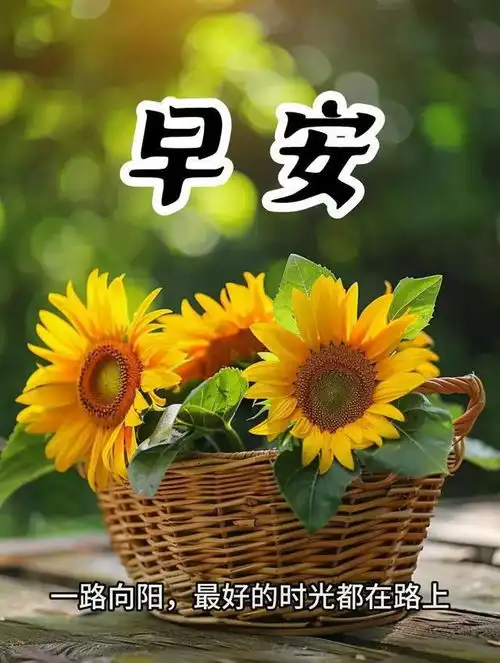  2024.8.26周一愉快,今日最新早上好漂亮聊天问候图片
