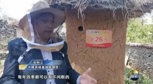 倍儿甜可可西里养蜂人的甜蜜事业  倍儿甜可可西里养蜂人的甜蜜事业