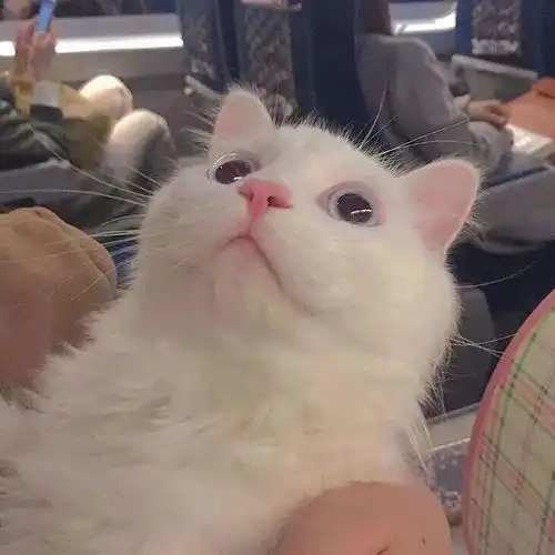 幽默段子我看到女佣茱莉拼命吹着爸爸肚子下面的管子  幽默段子我看到女佣茱莉拼命吹着爸爸肚子下面的管子