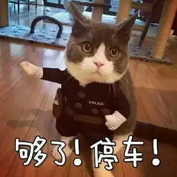  为什么很多人聊天都喜欢用猫咪表情包附最全猫咪表情包