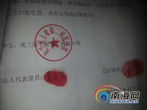  海口一前任村组长涉嫌私刻公章转让集体财产