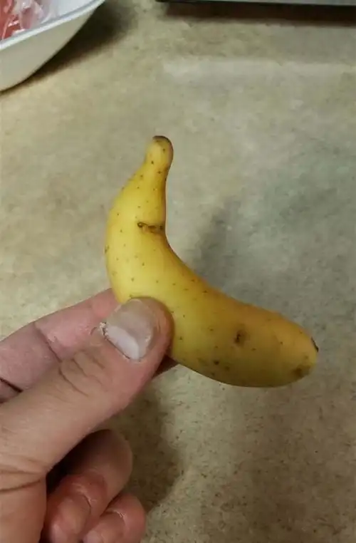 搞笑gif图朋友家的吊灯,一般逢年过节才能开  搞笑gif图朋友家的吊灯,一般逢年过节才能开