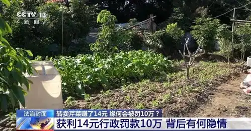  转卖芹菜赚14元被罚10万,这样的处罚合理吗