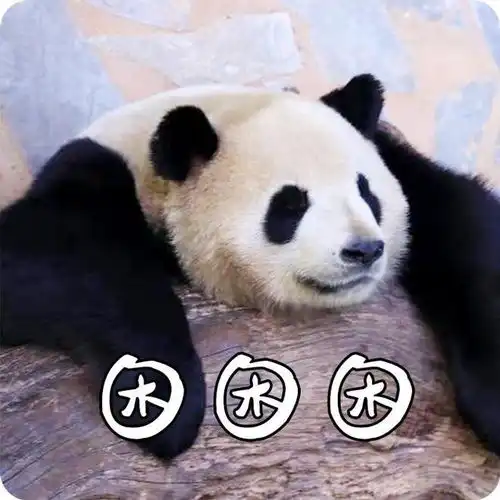 我的大熊猫表情包分你一点