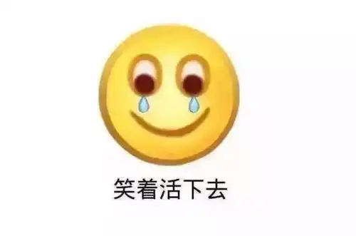  朋友圈年度最好笑照片,心情不好时一定要看