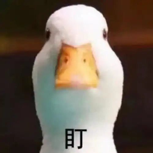  无用但搞笑的沙雕冷知识