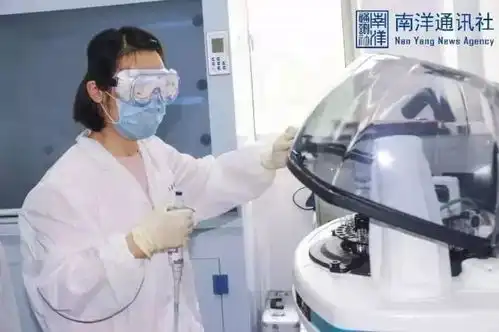 胖三斤搞笑图片搞笑