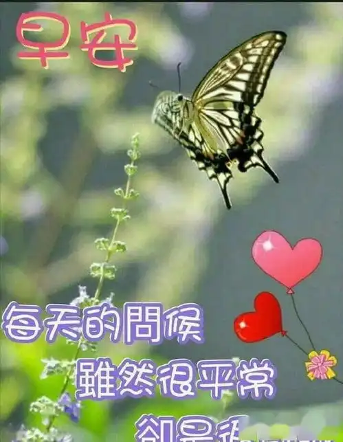  拿人心比自心,才能换到真心花心思经营情,才能赚到真情,早安