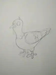  每天坚持画画简笔画练习鸽子q版