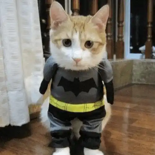  幽默笑话十几前,两块钱可以从超市带走2袋方便面,5根火腿肠