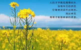  正能量句子励志短句子和图片大全