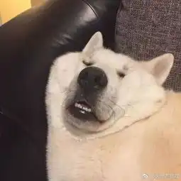  请领居们吃晚饭啦这次是送一整只活鸡还有......