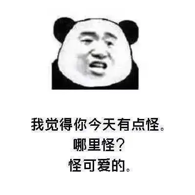 搞笑表情包头像,可做头像也可斗图专用  搞笑表情包头像,可做头像也可斗图专用