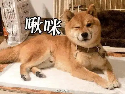  看完这波美颜暴击,终于知道郑爽对大美女有什么误解了