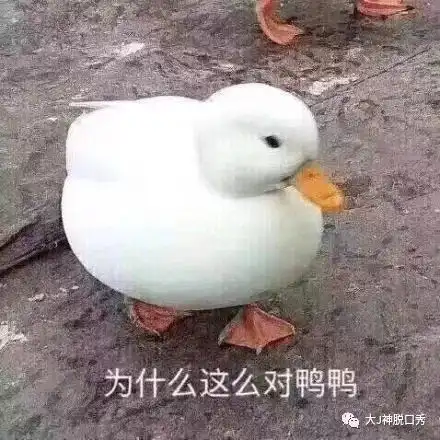 鸭子搞笑图片活着