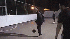  内蒙古论坛图片集锦