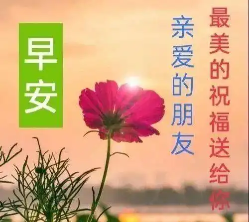 3月25日新的一天非常漂亮的早上好图片简短的早安问候语  3月25日新的一天非常漂亮的早上好图片简短的早安问候语